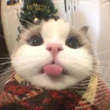 جنید خان avatar