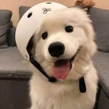 اسامہ صدیقی avatar