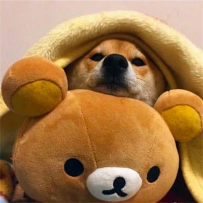 شیخ رشید avatar